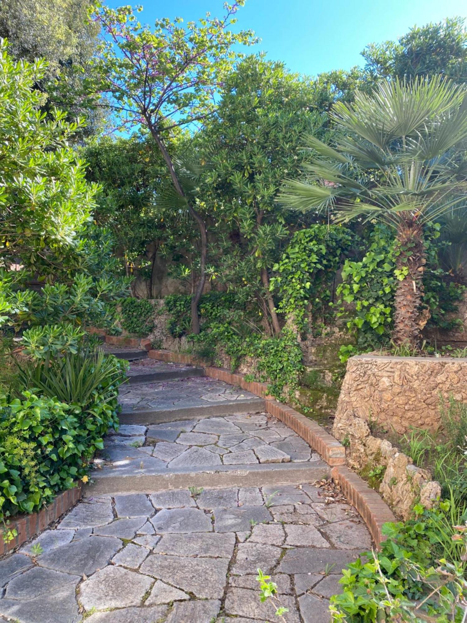 Villa Il Boschetto San Vincenzo Esterno foto