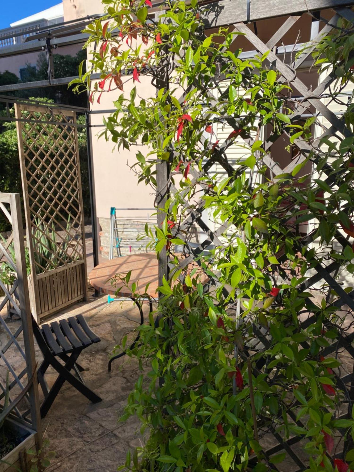 Villa Il Boschetto San Vincenzo Esterno foto